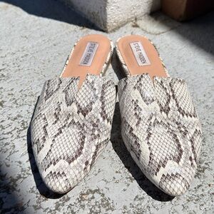 Steve Madden Gray Snake Print Mules